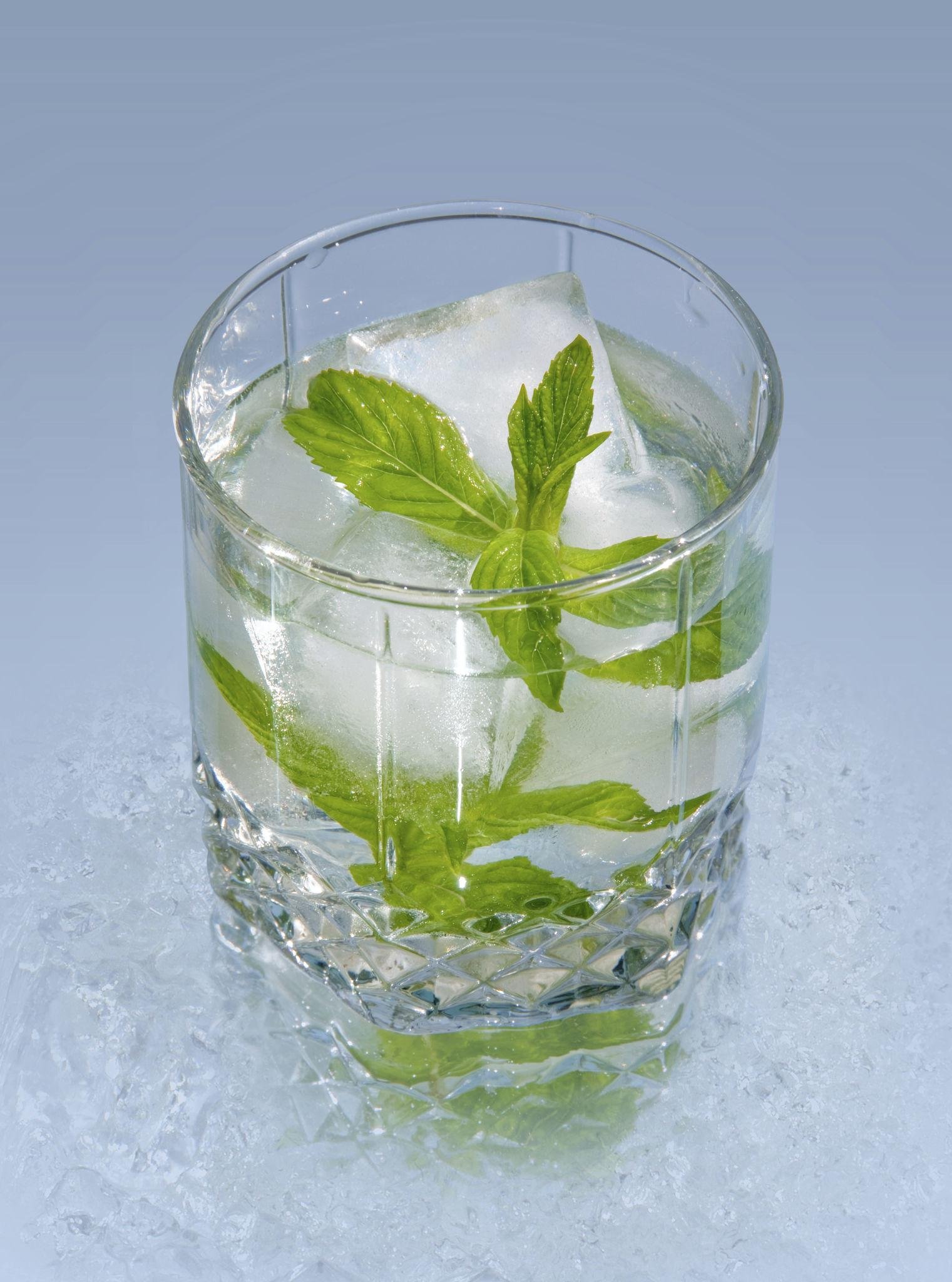 Fresh mint leaves